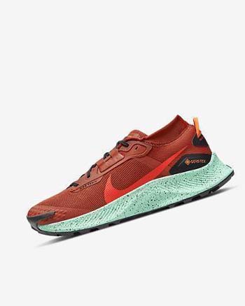 Orange / Black / Orange / Red Men's Nike Pegasus Trail 3 GORE-TEX Waterproof Trail Running Shoes | UK4829